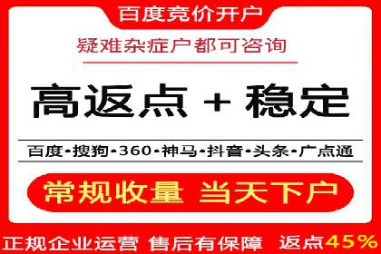 sem竞价托管代运营——广告优化的典范案例